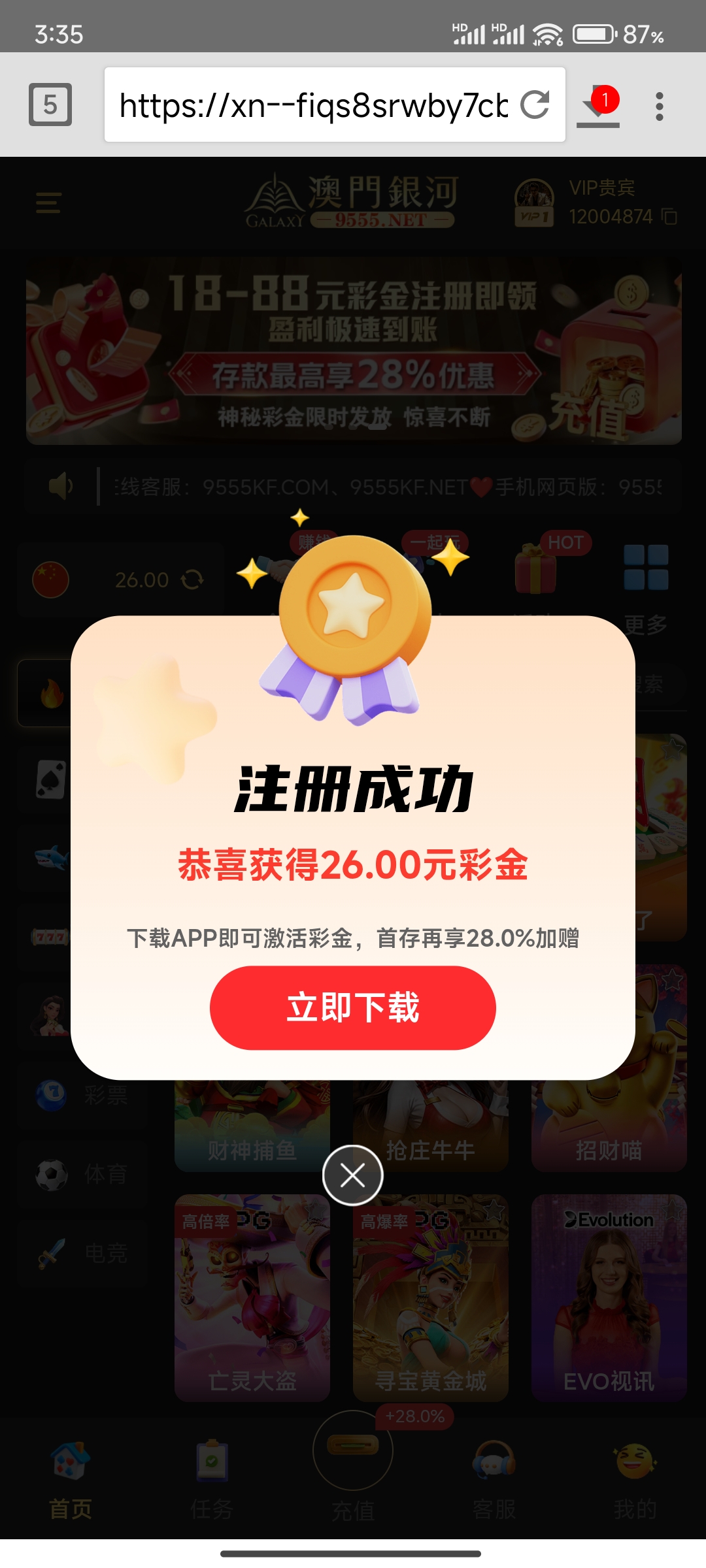 11762.jpg